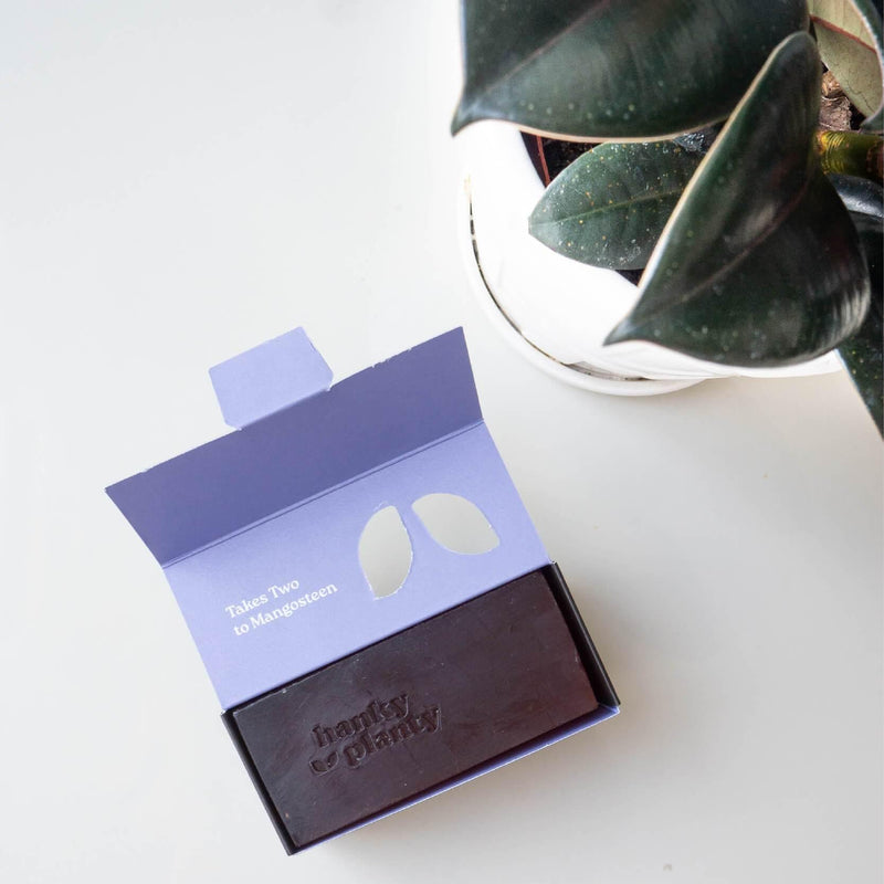 Mangosteen with Bilberry Extract Soap Bar